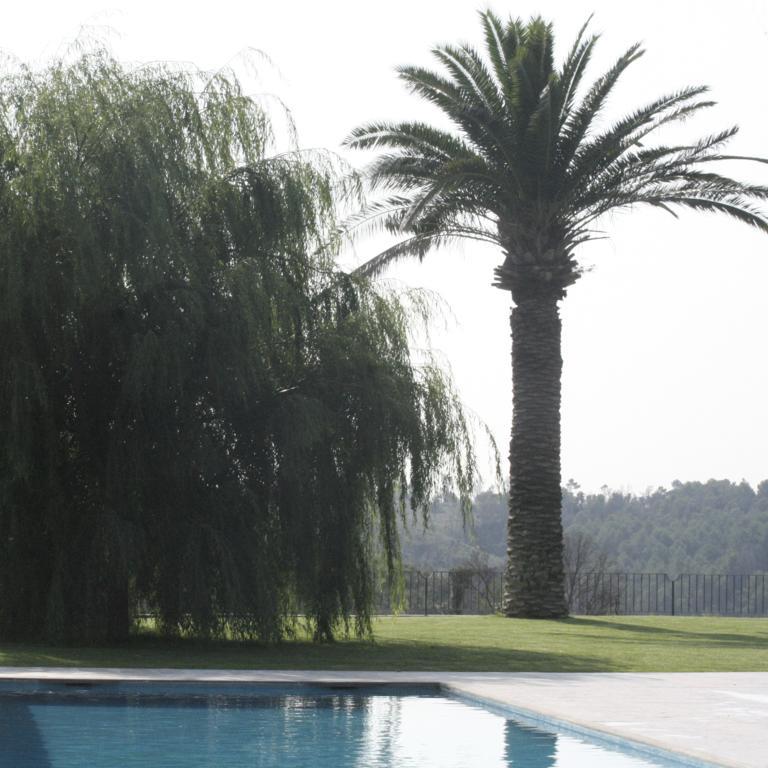 Hotel Mas Oliveres Pla De Palau Llers Bagian luar foto