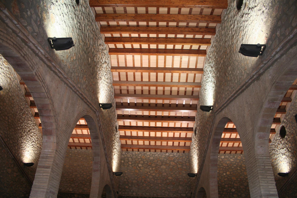 Hotel Mas Oliveres Pla De Palau Llers Bagian luar foto